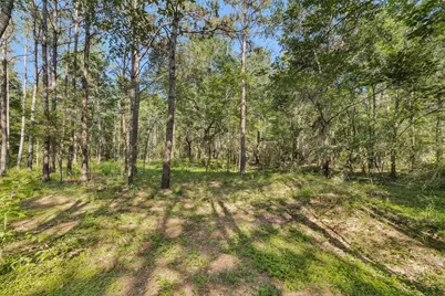 6493 Planters Row Lane Lane, Plantersville, TX 77363 - Photo 10