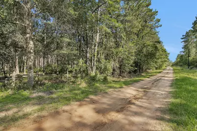 6493 Planters Row Lane Lane, Plantersville, TX 77363 - Photo 2