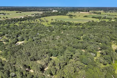 6493 Planters Row Lane Lane, Plantersville, TX 77363 - Photo 18