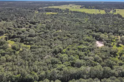 6493 Planters Row Lane Lane, Plantersville, TX 77363 - Photo 20