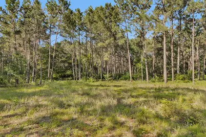 6493 Planters Row Lane Lane, Plantersville, TX 77363 - Photo 12