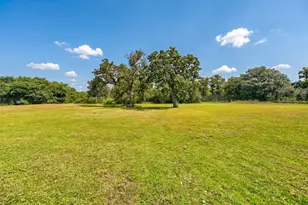 1017 Buescher Rd, Columbus, TX 78934 - Photo 32