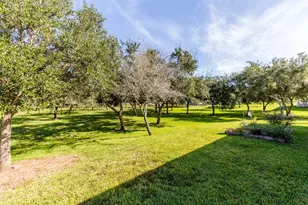 3111 County Rd 81, Rosharon, TX 77583 - Photo 42