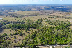 100 Acres Spring Branch Rd, Montgomery, TX 77316 - Photo 34