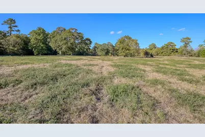 100 Acres Spring Branch Road, Montgomery, TX 77316 - Photo 24