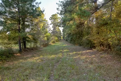 100 Acres Spring Branch Road, Montgomery, TX 77316 - Photo 26