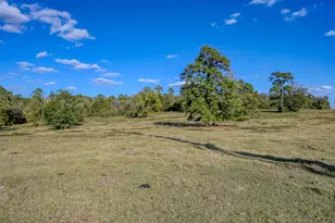 100 Acres Spring Branch Rd, Montgomery, TX 77316 - Photo 12