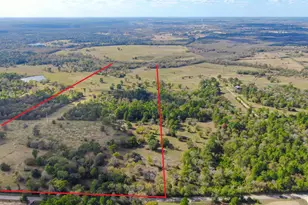 100 Acres Spring Branch Rd, Montgomery, TX 77316 - Photo 2