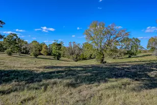 100 Acres Spring Branch Rd, Montgomery, TX 77316 - Photo 18
