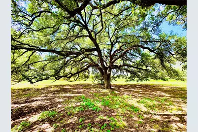427 Knezek Road N, Flatonia, TX 78941 - Photo 14