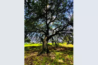 427 Knezek Road N, Flatonia, TX 78941 - Photo 8