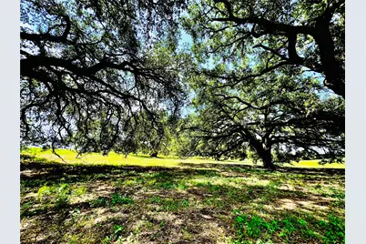 427 Knezek Road N, Flatonia, TX 78941 - Photo 12