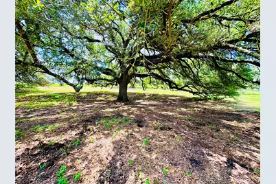 427 Knezek Road N, Flatonia, TX 78941 - Photo 18