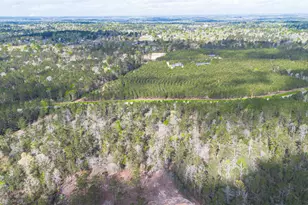 15982 Wood Grv Wy, Willis, TX 77378 - Photo 26