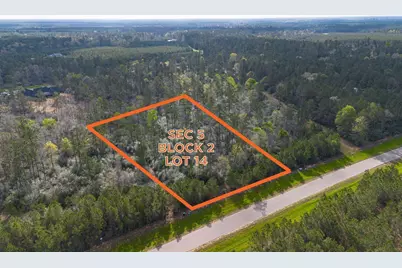 15982 Wood Grove Way, Willis, TX 77378 - Photo 18