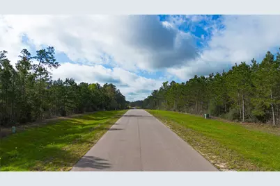 15982 Wood Grove Way, Willis, TX 77378 - Photo 16