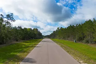 15982 Wood Grv Wy, Willis, TX 77378 - Photo 16