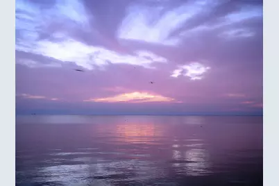 371 B Locke Road, Anahuac, TX 77514 - Photo 20