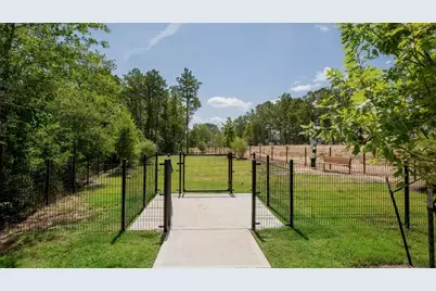 313 Fallow Deer Drive, Huntsville, TX 77320 - Photo 18