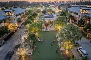 31 S Victoriana Cir, Spring, TX 77389 - Photo 40