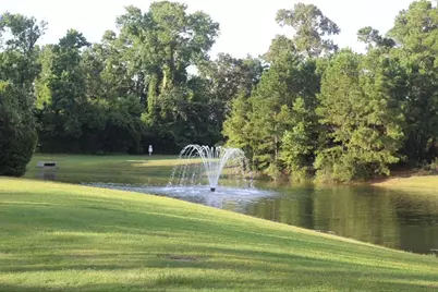 31 S Victoriana Circle, Spring, TX 77389 - Photo 50