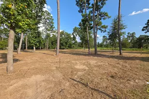 Tract C-4 Gaff Rd, Magnolia, TX 77355 - Photo 1