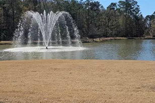 3529 Brian Valley Ct, Spring, TX 77386 - Photo 38