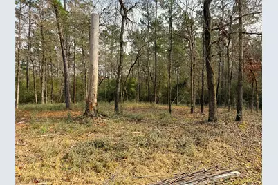 195 Walnut Circle, Trinity, TX 75862 - Photo 4