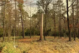 195 Walnut Cir, Trinity, TX 75862 - Photo 1