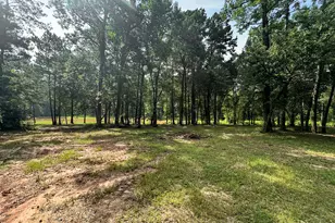 18107 Keenan Cut Off Rd, Montgomery, TX 77316 - Photo 48