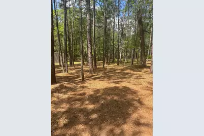 16375 Grand Flower Road, Plantersville, TX 77363 - Photo 14