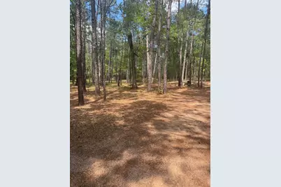 16375 Grand Flower Road, Plantersville, TX 77363 - Photo 16