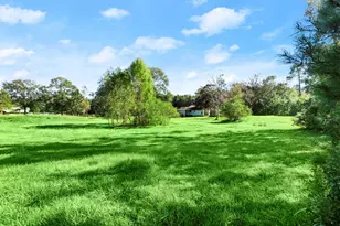 14676 Duke Rd, Splendora, TX 77372 - Photo 14