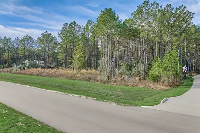 15929 Wood Grove Way, Willis, TX 77378 - Photo 8