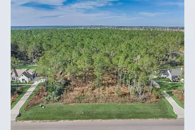 15929 Wood Grove Way, Willis, TX 77378 - Photo 1