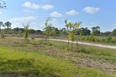 15322 Torry Pines Road, Houston, TX 77062 - Photo 38