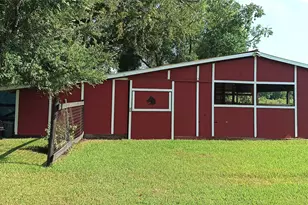 9235 Ruth Rd, Rosharon, TX 77583 - Photo 30