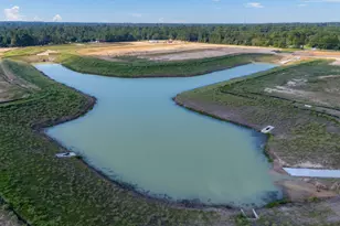 529 Wax Myrtle Way, Hockley, TX 77447 - Photo 20