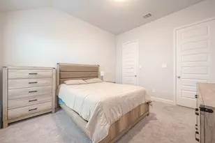 29042 Hauter Wy, Fulshear, TX 77441 - Photo 24