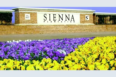 9710 Falling Leaf Drive, Missouri City, TX 77459 - Photo 42