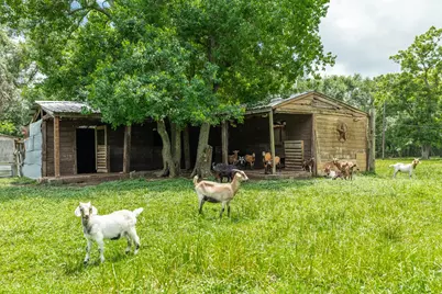 4821 County Road 288, Angleton, TX 77515 - Photo 34