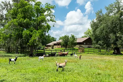 4821 County Road 288, Angleton, TX 77515 - Photo 32