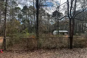 18444 Solomon St, Cleveland, TX 77328 - Photo 4