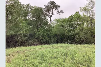 0 County Road 4876, Dayton, TX 77535 - Photo 34