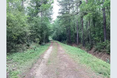 0 County Road 4876, Dayton, TX 77535 - Photo 8