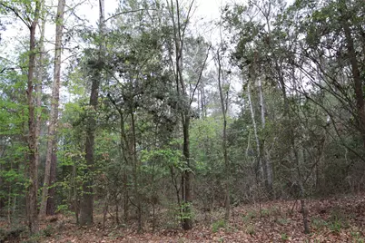 Tbd Cr 3160, Colmesneil, TX 75938 - Photo 6