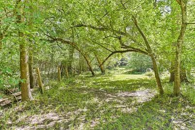 7445 Cobbs Oak Lane, Rosharon, TX 77583 - Photo 34