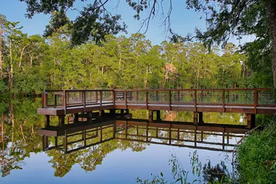 7503 Enchanted Rock Court, Porter, TX 77365 - Photo 42