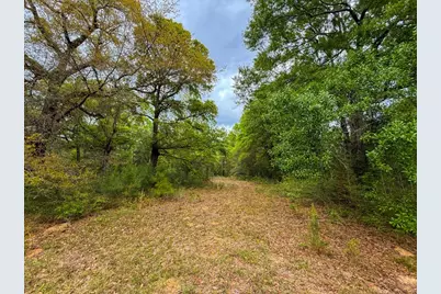 000 County Road 4630 Road N, Spurger, TX 77660 - Photo 32