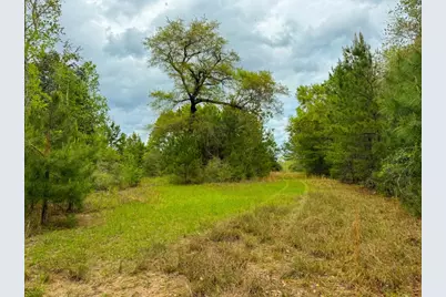000 County Road 4630 Road N, Spurger, TX 77660 - Photo 40